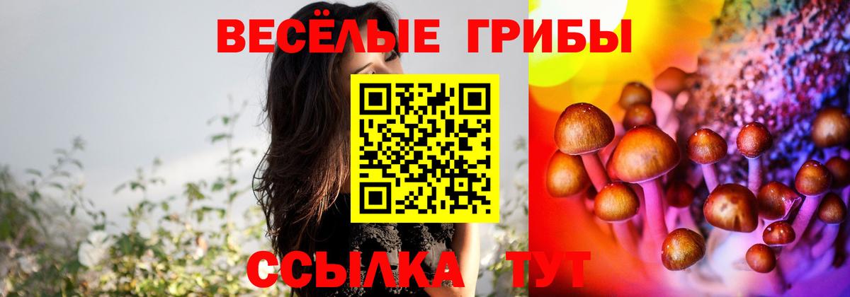 Коммунар  Галлюциногенные грибы ЛСД  Псилоцибиновые грибы ЛСД  Вход с VPN 